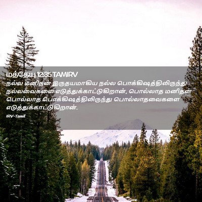 Picture 02 - மத்தேயு 12:35 TAMIRV - நல்ல மனிதன் - Bible Verse Picture