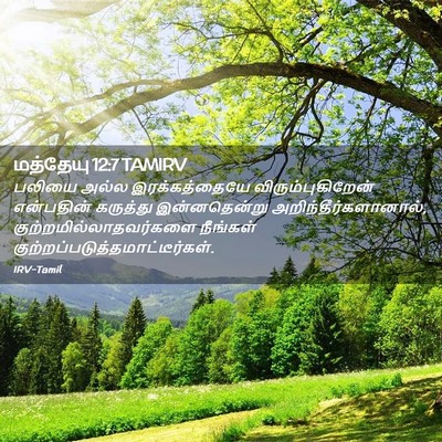 Picture 02 - மத்தேயு 12:7 TAMIRV - பலியை அல்ல - Bible Verse Picture