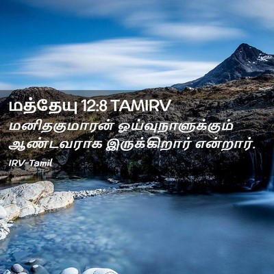 Picture 02 - மத்தேயு 12:8 TAMIRV - மனிதகுமாரன் - Bible Verse Picture