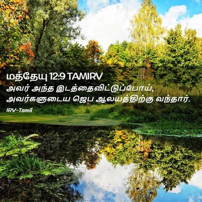 Picture 02 - மத்தேயு 12:9 TAMIRV - அவர் அந்த - Bible Verse Picture