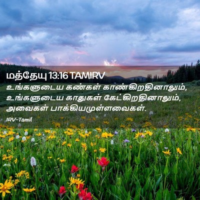Picture 02 - மத்தேயு 13:16 TAMIRV - உங்களுடைய கண்கள் - Bible Verse Picture