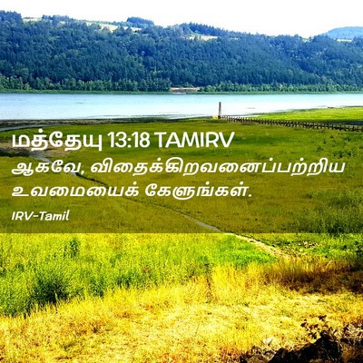 Picture 02 - மத்தேயு 13:18 TAMIRV - ஆகவே, - Bible Verse Picture