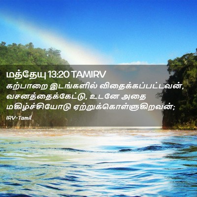 Picture 02 - மத்தேயு 13:20 TAMIRV - கற்பாறை இடங்களில் - Bible Verse Picture