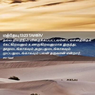 Picture 02 - மத்தேயு 13:23 TAMIRV - நல்ல நிலத்தில் - Bible Verse Picture
