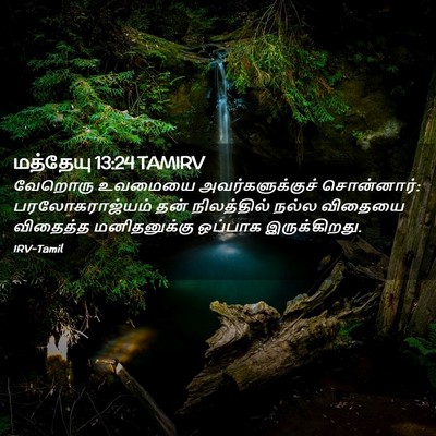 Picture 02 - மத்தேயு 13:24 TAMIRV - வேறொரு உவமையை - Bible Verse Picture