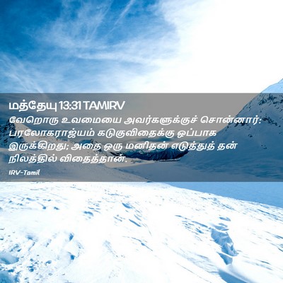 Picture 02 - மத்தேயு 13:31 TAMIRV - வேறொரு உவமையை - Bible Verse Picture