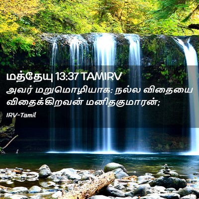 Picture 02 - மத்தேயு 13:37 TAMIRV - அவர் மறுமொழியாக: - Bible Verse Picture