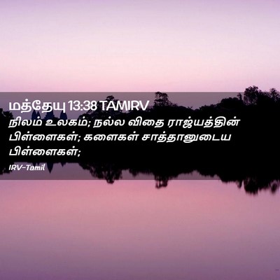 Picture 02 - மத்தேயு 13:38 TAMIRV - நிலம் உலகம்; நல்ல - Bible Verse Picture