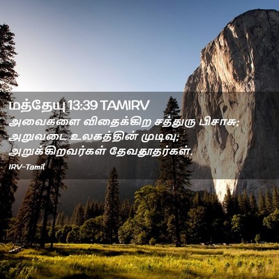 Picture 02 - மத்தேயு 13:39 TAMIRV - அவைகளை விதைக்கிற - Bible Verse Picture