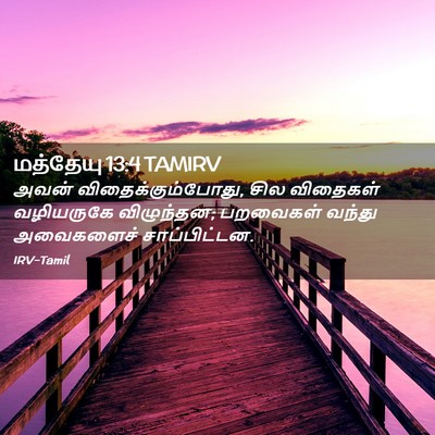 Picture 02 - மத்தேயு 13:4 TAMIRV - அவன் - Bible Verse Picture