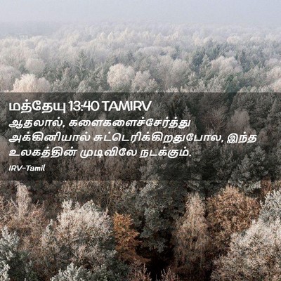 Picture 02 - மத்தேயு 13:40 TAMIRV - ஆதலால், - Bible Verse Picture