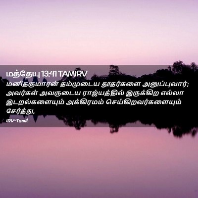Picture 02 - மத்தேயு 13:41 TAMIRV - மனிதகுமாரன் - Bible Verse Picture