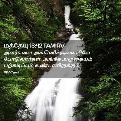 Picture 02 - மத்தேயு 13:42 TAMIRV - அவர்களை - Bible Verse Picture