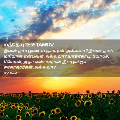 Picture 02 - மத்தேயு 13:55 TAMIRV - இவன் தச்சனுடைய - Bible Verse Picture