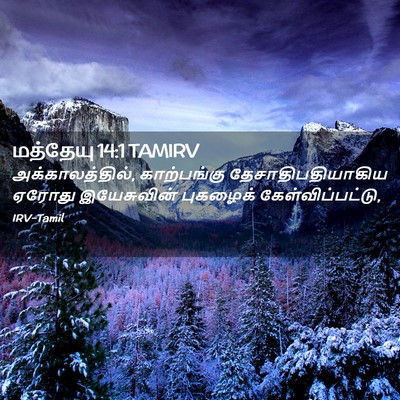 Picture 02 - மத்தேயு 14:1 TAMIRV - அக்காலத்தில், - Bible Verse Picture