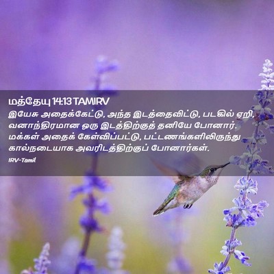 Picture 02 - மத்தேயு 14:13 TAMIRV - இயேசு - Bible Verse Picture