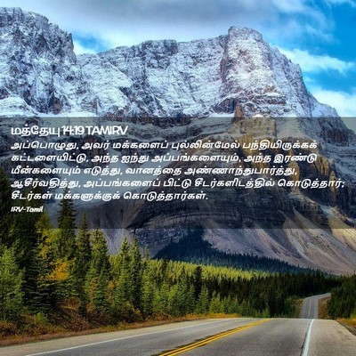 Picture 02 - மத்தேயு 14:19 TAMIRV - அப்பொழுது, அவர் - Bible Verse Picture