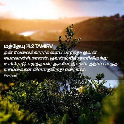 Picture 02 - மத்தேயு 14:2 TAMIRV - தன் - Bible Verse Picture