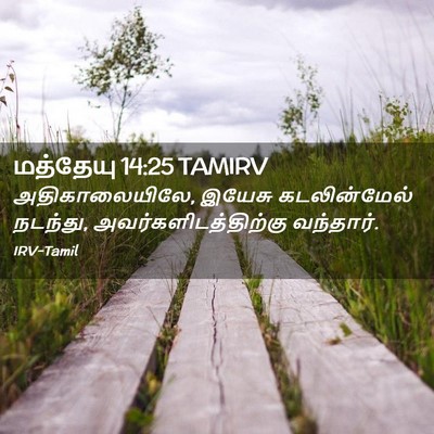 Picture 02 - மத்தேயு 14:25 TAMIRV - அதிகாலையிலே, - Bible Verse Picture