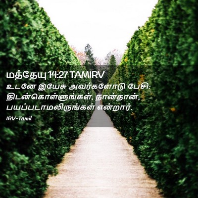 Picture 02 - மத்தேயு 14:27 TAMIRV - உடனே இயேசு - Bible Verse Picture