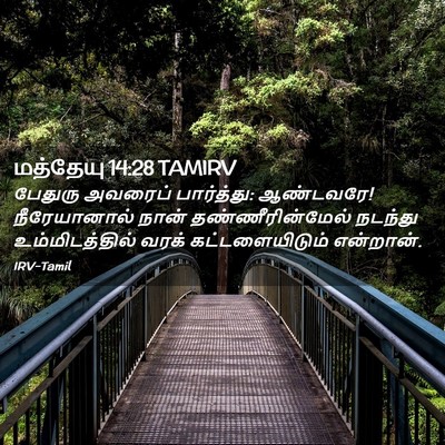 Picture 02 - மத்தேயு 14:28 TAMIRV - பேதுரு அவரைப் - Bible Verse Picture