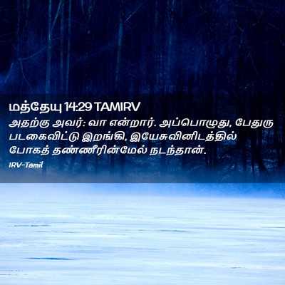 Picture 02 - மத்தேயு 14:29 TAMIRV - அதற்கு அவர்: வா - Bible Verse Picture