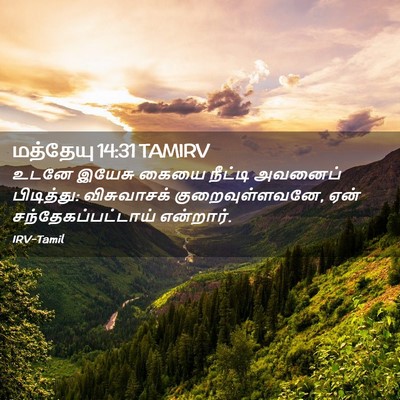 Picture 02 - மத்தேயு 14:31 TAMIRV - உடனே இயேசு கையை - Bible Verse Picture