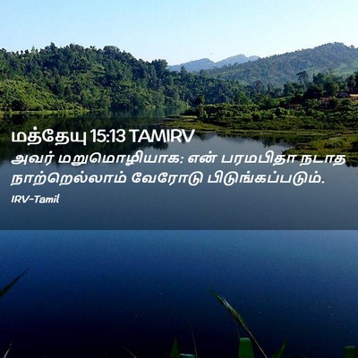 Picture 02 - மத்தேயு 15:13 TAMIRV - அவர் மறுமொழியாக: - Bible Verse Picture