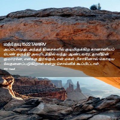Picture 02 - மத்தேயு 15:22 TAMIRV - அப்பொழுது, அந்தத் - Bible Verse Picture