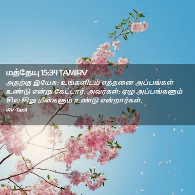 Picture 02 - மத்தேயு 15:34 TAMIRV - அதற்கு இயேசு: - Bible Verse Picture