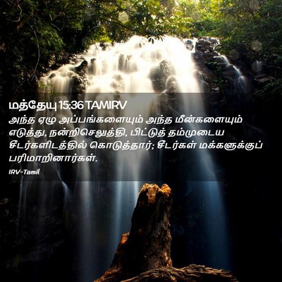 Picture 02 - மத்தேயு 15:36 TAMIRV - அந்த ஏழு - Bible Verse Picture