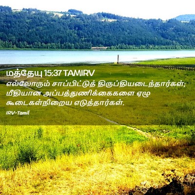 Picture 02 - மத்தேயு 15:37 TAMIRV - எல்லோரும் - Bible Verse Picture