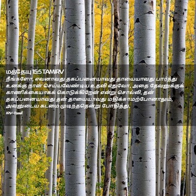 Picture 02 - மத்தேயு 15:5 TAMIRV - நீங்களோ, எவனாவது - Bible Verse Picture