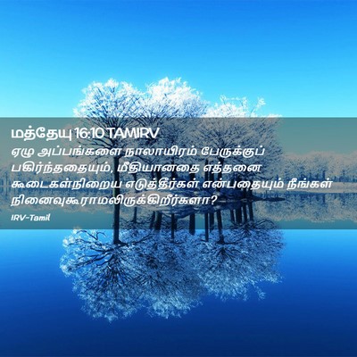 Picture 02 - மத்தேயு 16:10 TAMIRV - ஏழு அப்பங்களை - Bible Verse Picture