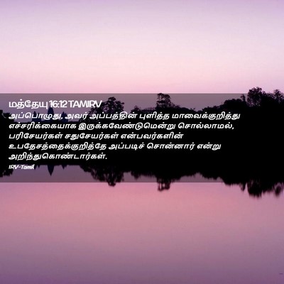 Picture 02 - மத்தேயு 16:12 TAMIRV - அப்பொழுது, அவர் - Bible Verse Picture