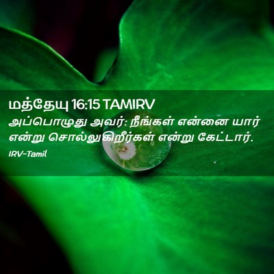 Picture 02 - மத்தேயு 16:15 TAMIRV - அப்பொழுது அவர்: - Bible Verse Picture