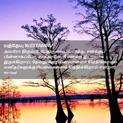 Picture 02 - மத்தேயு 16:23 TAMIRV - அவரோ திரும்பி, - Bible Verse Picture