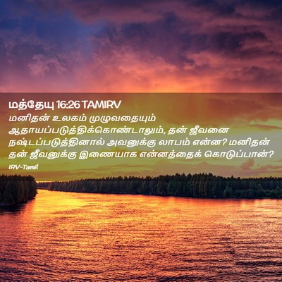 Picture 02 - மத்தேயு 16:26 TAMIRV - மனிதன் உலகம் - Bible Verse Picture