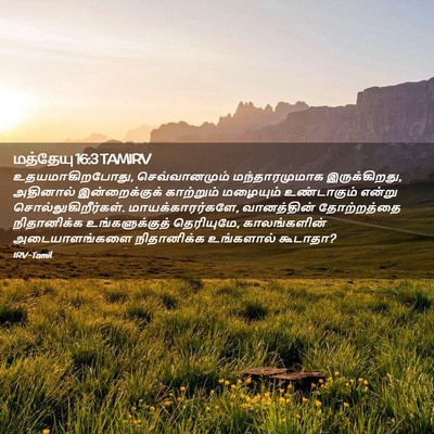 Picture 02 - மத்தேயு 16:3 TAMIRV - உதயமாகிறபோது, - Bible Verse Picture