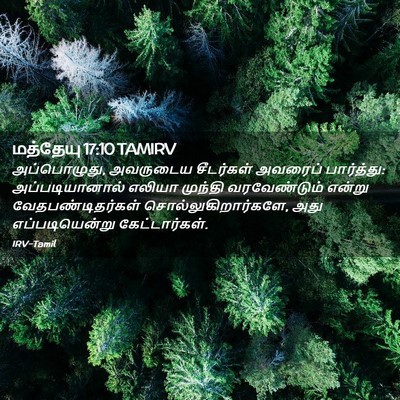 Picture 02 - மத்தேயு 17:10 TAMIRV - அப்பொழுது, - Bible Verse Picture