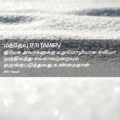 Picture 02 - மத்தேயு 17:11 TAMIRV - இயேசு அவர்களுக்கு - Bible Verse Picture
