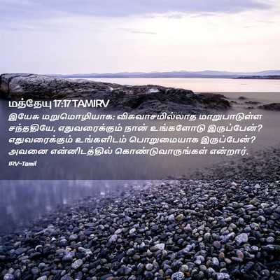 Picture 02 - மத்தேயு 17:17 TAMIRV - இயேசு மறுமொழியாக: - Bible Verse Picture