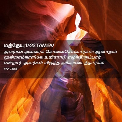 Picture 02 - மத்தேயு 17:23 TAMIRV - அவர்கள் அவரைக் - Bible Verse Picture