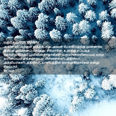 Picture 02 - மத்தேயு 17:25 TAMIRV - அவன் வீட்டிற்குள் - Bible Verse Picture