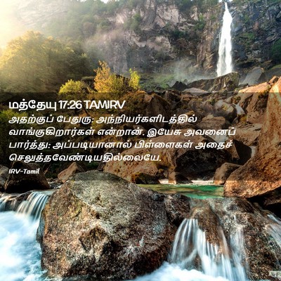 Picture 02 - மத்தேயு 17:26 TAMIRV - அதற்குப் பேதுரு: - Bible Verse Picture