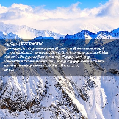 Picture 02 - மத்தேயு 17:27 TAMIRV - ஆனாலும், நாம் - Bible Verse Picture