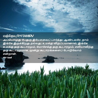 Picture 02 - மத்தேயு 17:4 TAMIRV - அப்பொழுது பேதுரு - Bible Verse Picture