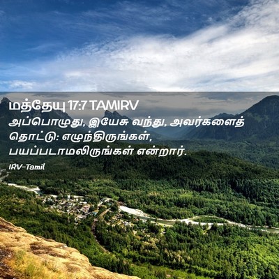 Picture 02 - மத்தேயு 17:7 TAMIRV - அப்பொழுது, இயேசு - Bible Verse Picture
