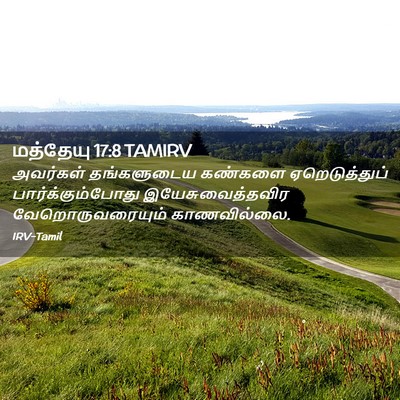 Picture 02 - மத்தேயு 17:8 TAMIRV - அவர்கள் தங்களுடைய - Bible Verse Picture