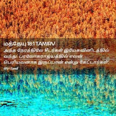 Picture 02 - மத்தேயு 18:1 TAMIRV - அந்த நேரத்திலே - Bible Verse Picture